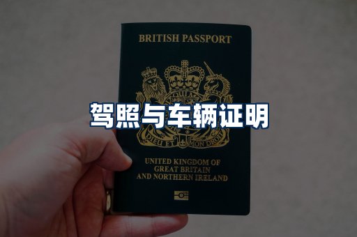 车辆证明展示